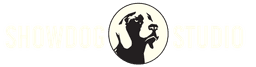 Digital Solutions Consultancy logo